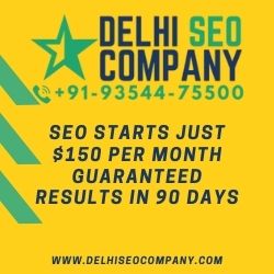 delhi seo company banner